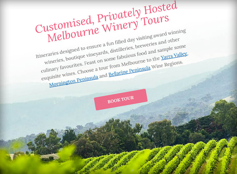 Vine 2 Vine - Winery Tours